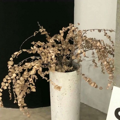 Furry插画元素设计技巧兽圈群